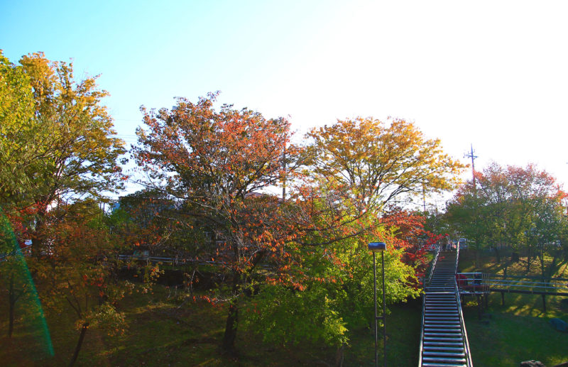 清水坂公園の紅葉