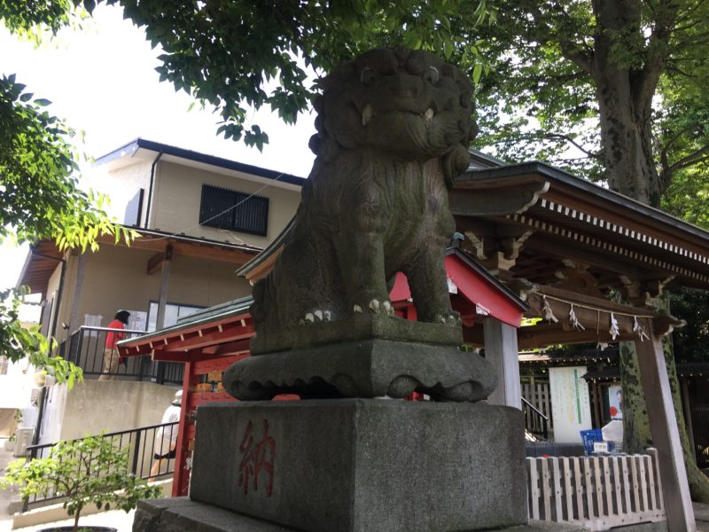 瀧野川八幡神社 狛犬