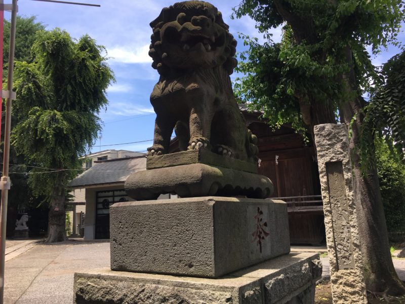 瀧野川八幡神社 狛犬