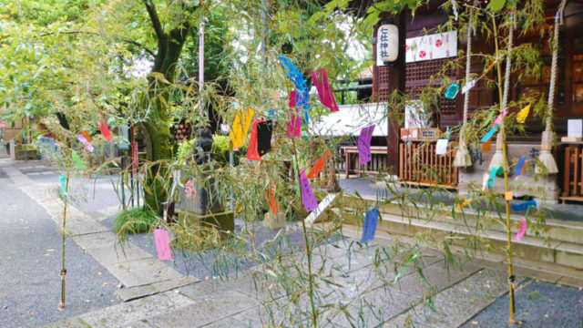 七社神社 笹竹