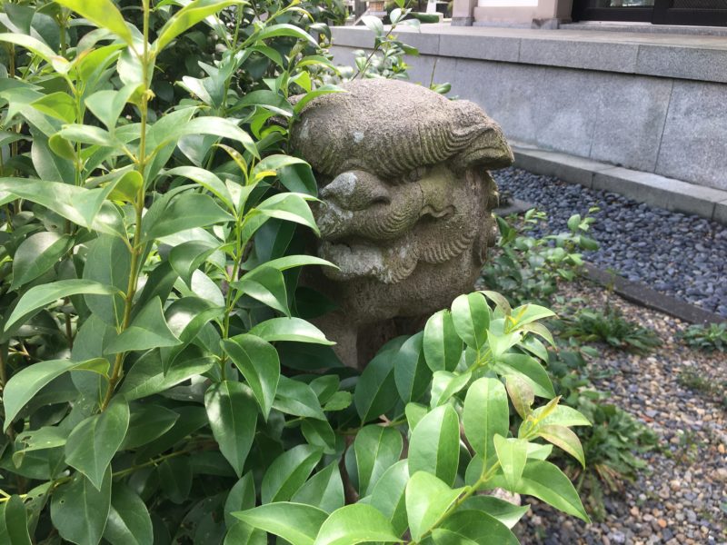 浮間氷川神社 狛犬