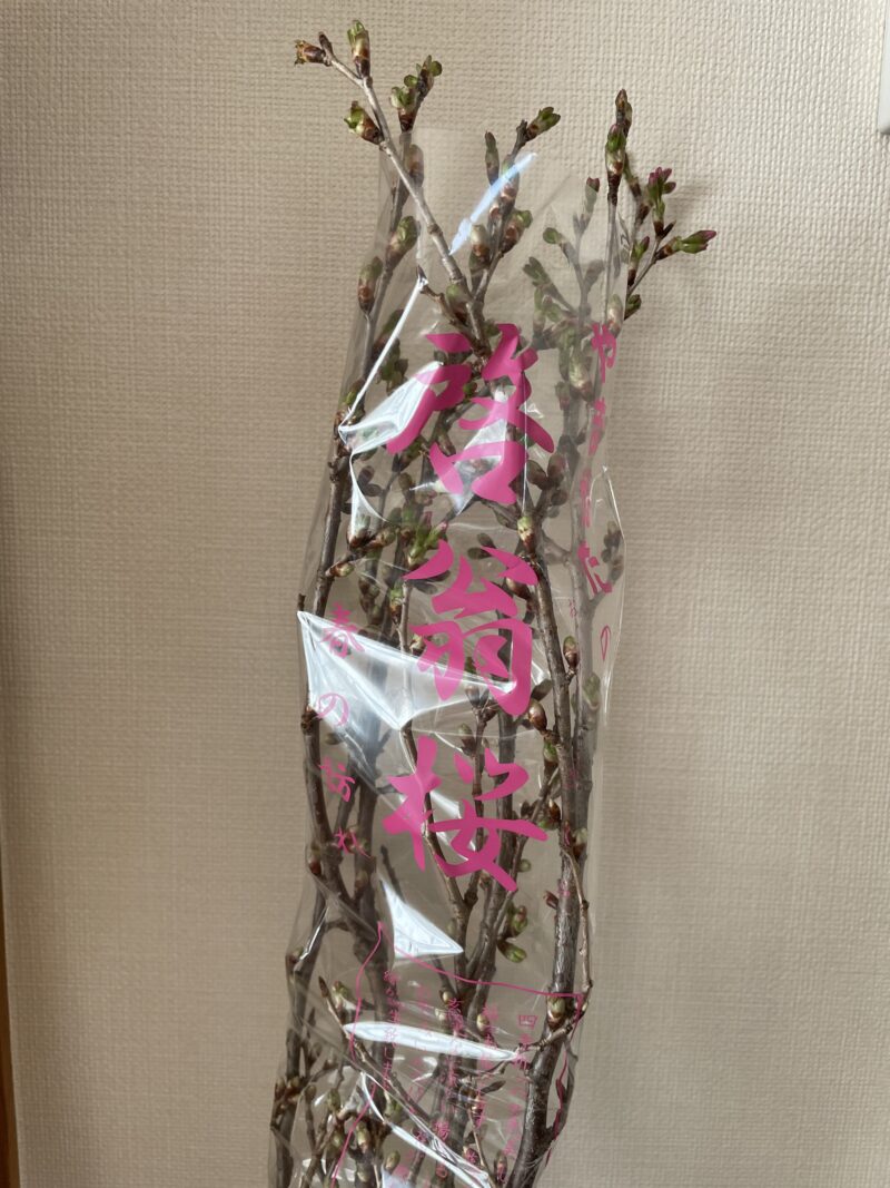 赤羽駅南口の駅構内にあるフラワーショップ Elenh エレン で桜の枝を買ったよ 春の気分を満喫しているよ 赤羽マガジン新聞