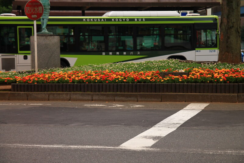 赤羽駅東口 ロータリー前の花壇