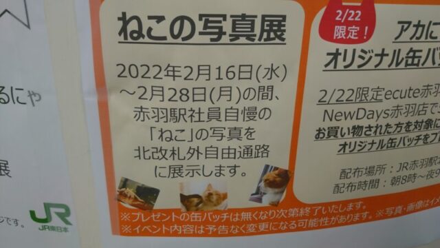 ねこの写真展