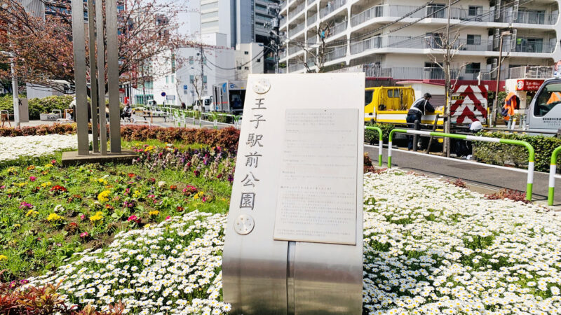 王子駅前公園　八重桜