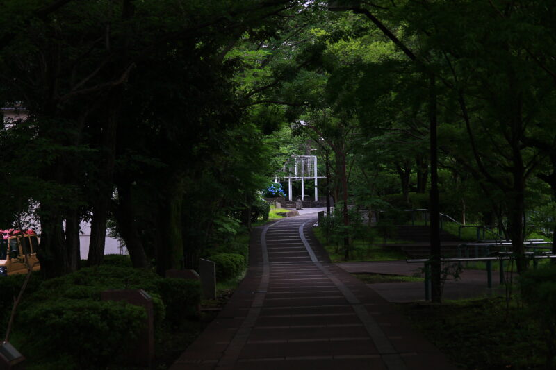 赤羽緑道公園