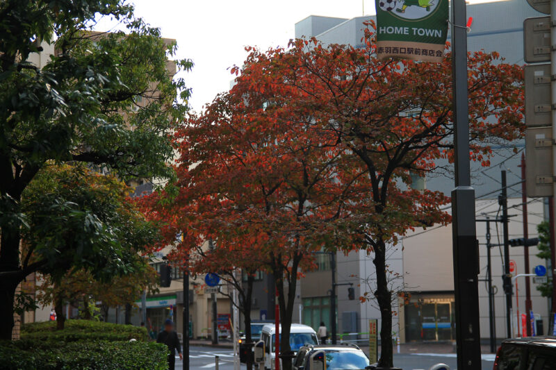 赤羽駅西口