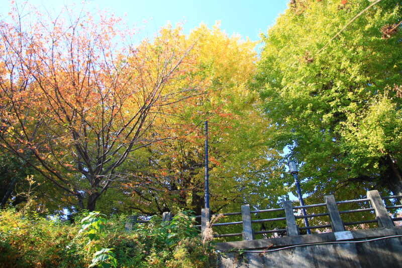 平塚神社