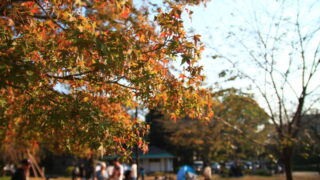 飛鳥山公園