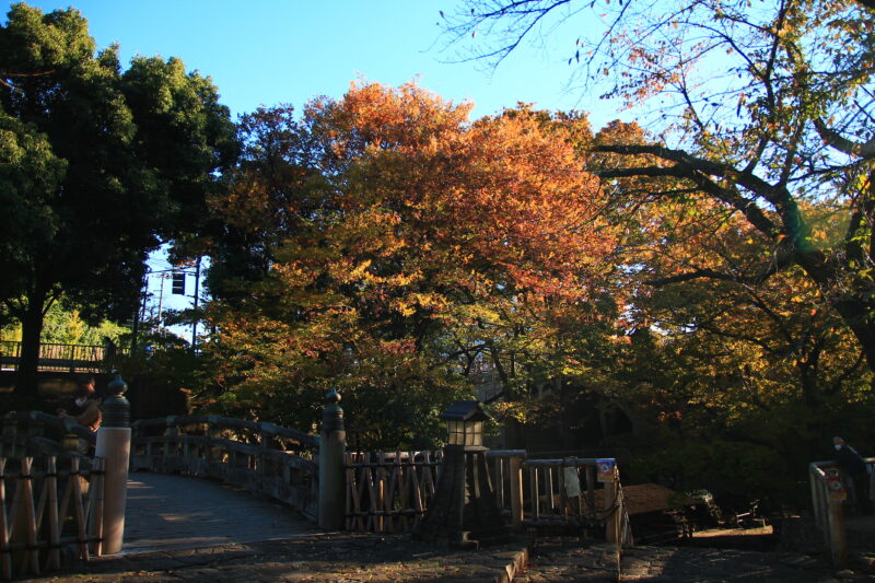 音無親水公園