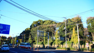 飛鳥山