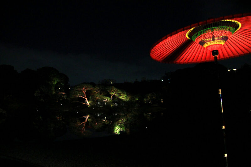 六義園 紅葉 ライトアップ