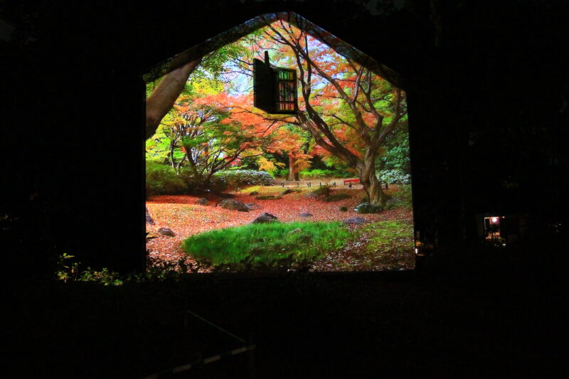 六義園 紅葉 ライトアップ