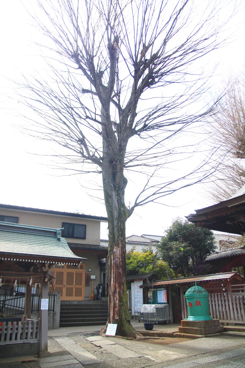 瀧野川八幡神社