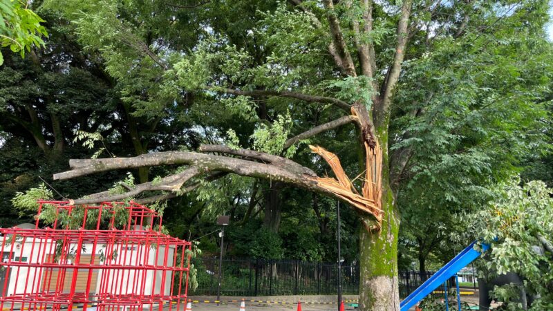 王子 飛鳥山公園