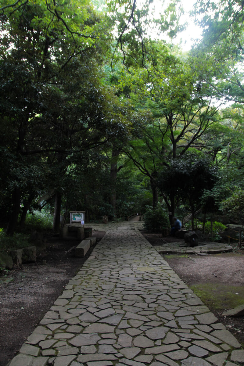 名主の滝公園　北区