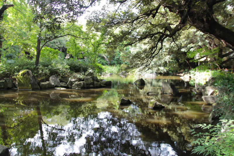 名主の滝公園　北区