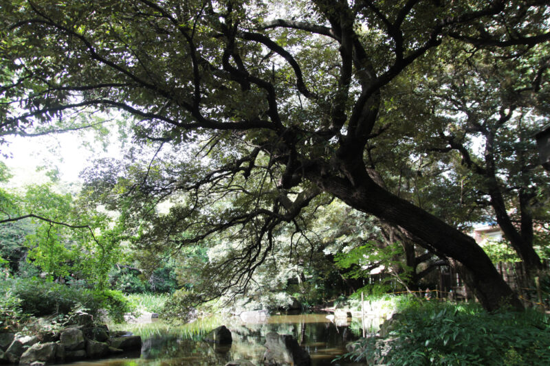 名主の滝公園　北区