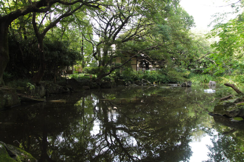 名主の滝公園　北区