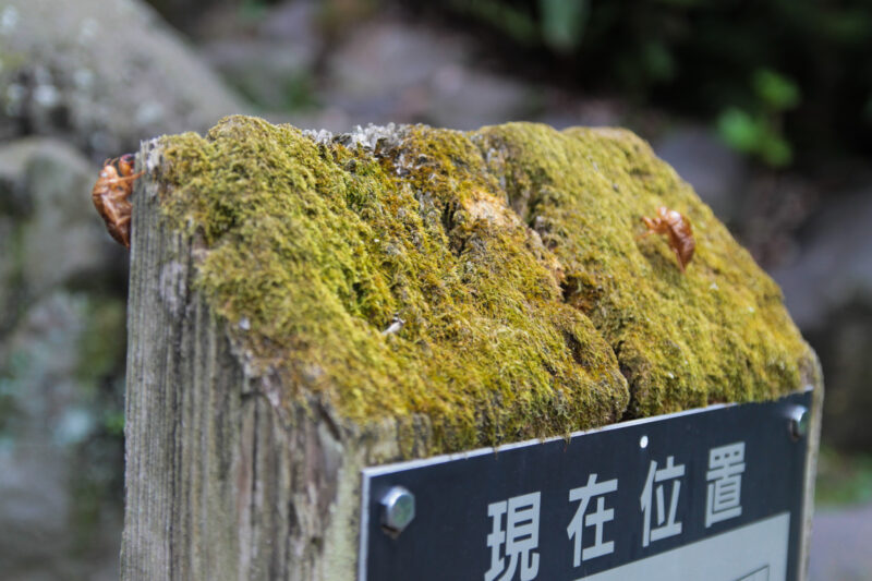 名主の滝公園　北区