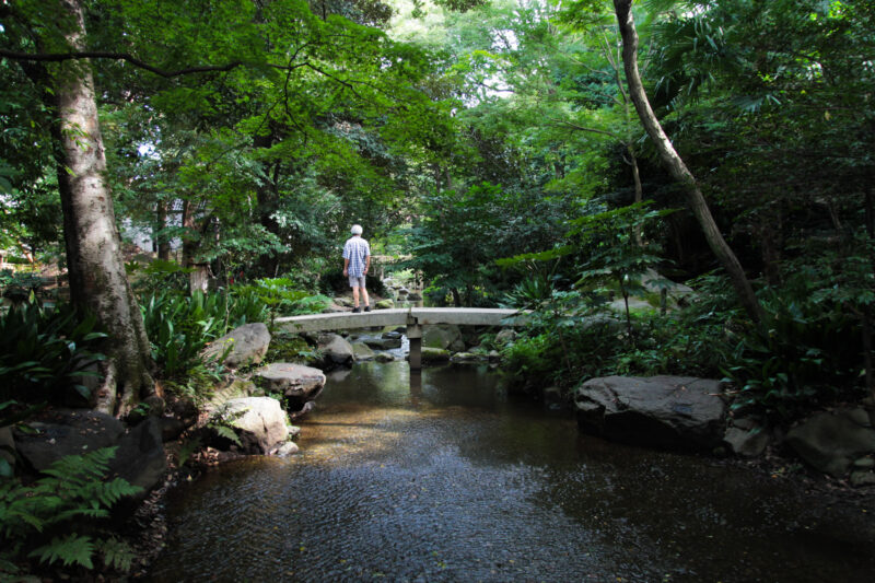 名主の滝公園　北区