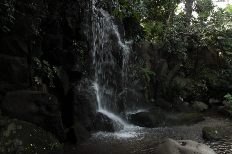 名主の滝公園　北区