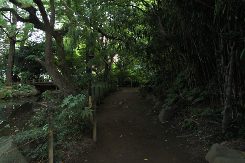 名主の滝公園　北区