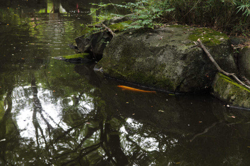 名主の滝公園　北区