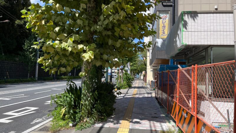 駒込 西ヶ原 PIZZERIA SATO ピッツェリアサトウ 駒込ピザ食堂