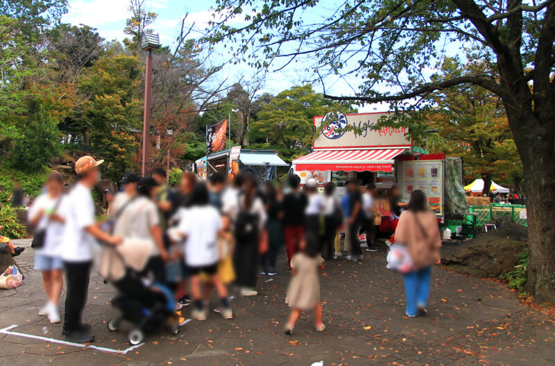 飛鳥山ハワイフェスティバル