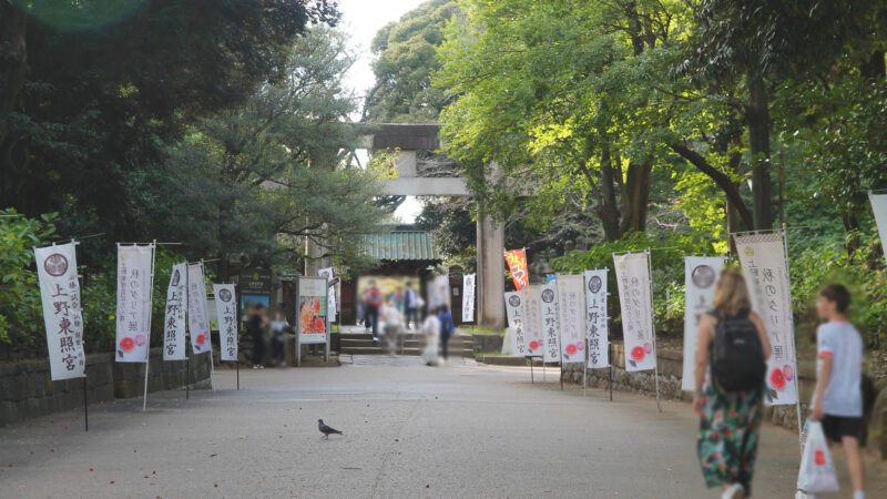 上野公園 上野東照宮 ぼたん苑 ダリア展