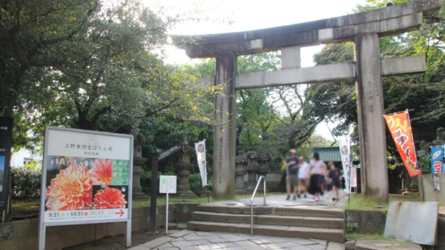 上野公園 上野東照宮 ぼたん苑 ダリア展