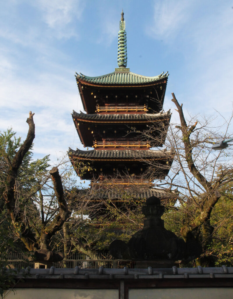 上野公園 上野東照宮 ぼたん苑 ダリア展