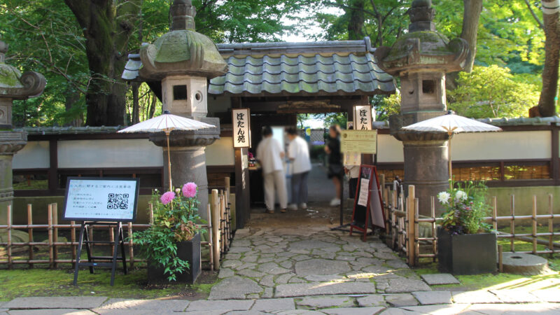 上野公園 上野東照宮 ぼたん苑 ダリア展