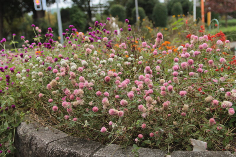 志茂町公園