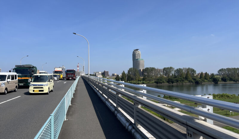 彼岸花群生地　大久保浄水場