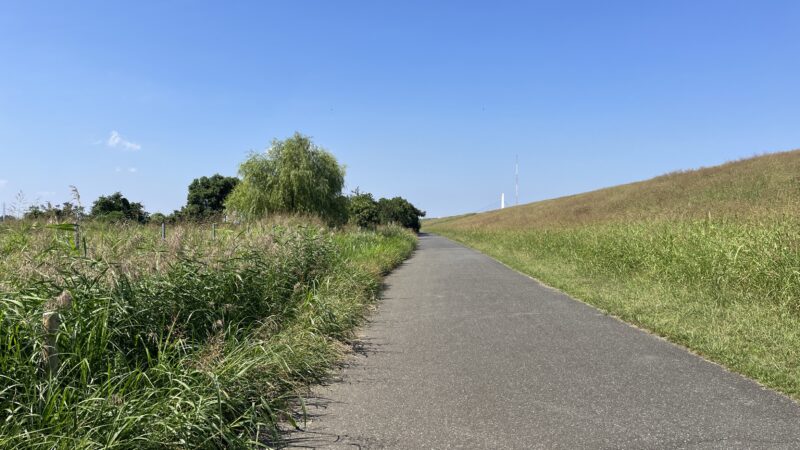 彼岸花群生地　大久保浄水場