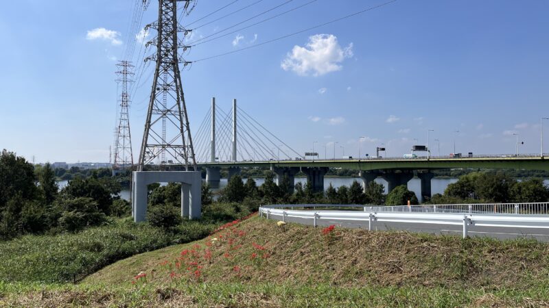 彼岸花群生地　大久保浄水場