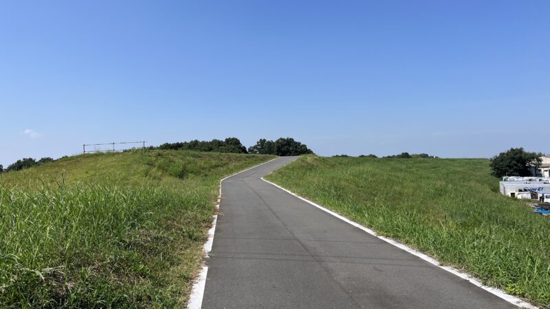 彼岸花群生地　大久保浄水場