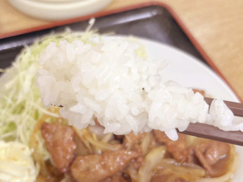 王子 ラーメン 弥生亭