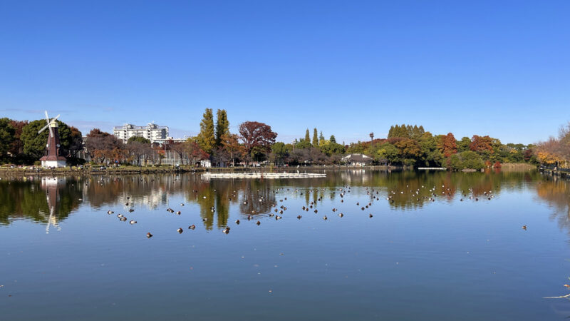 浮間舟渡 浮間公園