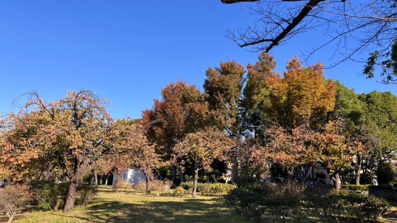 浮間舟渡 浮間公園