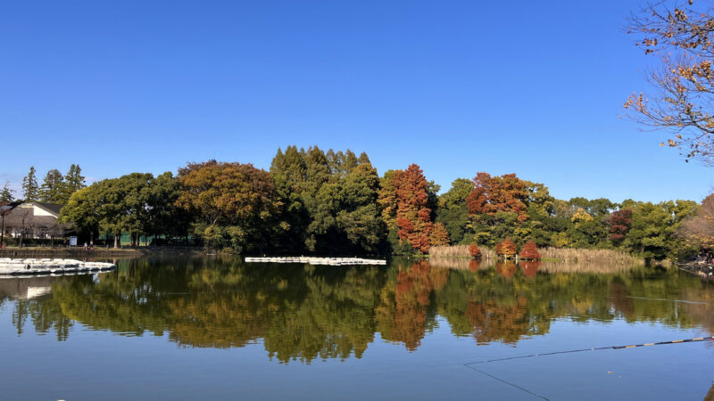 浮間舟渡 浮間公園