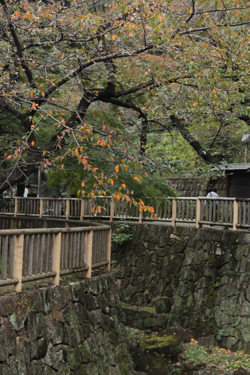 音無親水公園