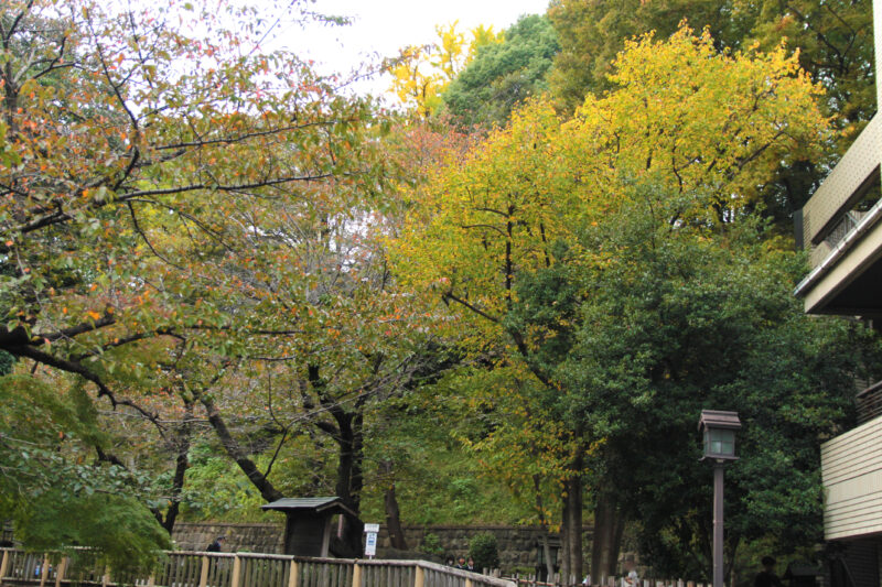 音無親水公園