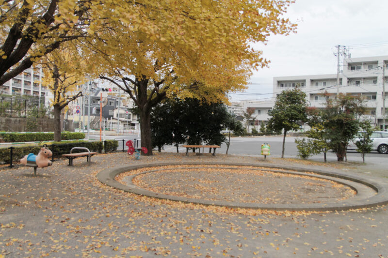 赤羽緑道パークブリッジ付近 イチョウ並木