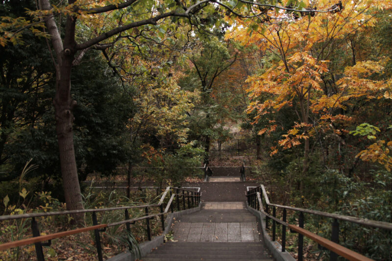 赤羽自然観察公園