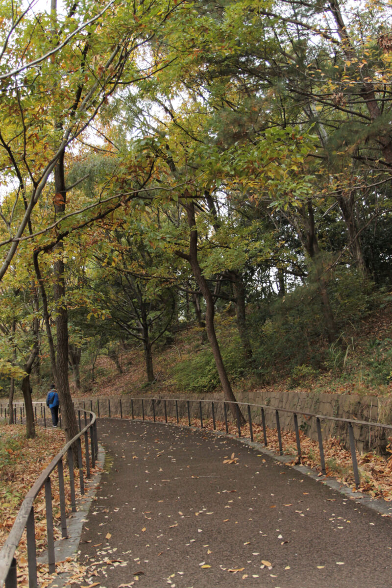 赤羽自然観察公園