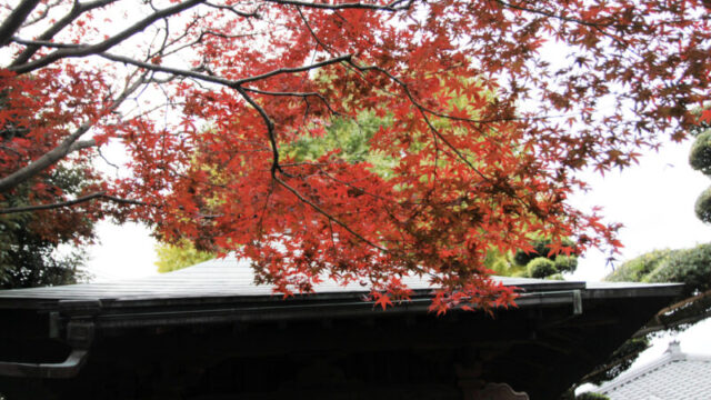 赤羽　静勝寺