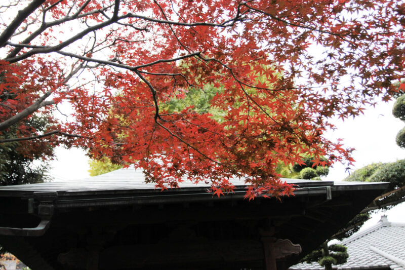 赤羽　静勝寺